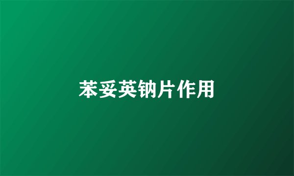 苯妥英钠片作用
