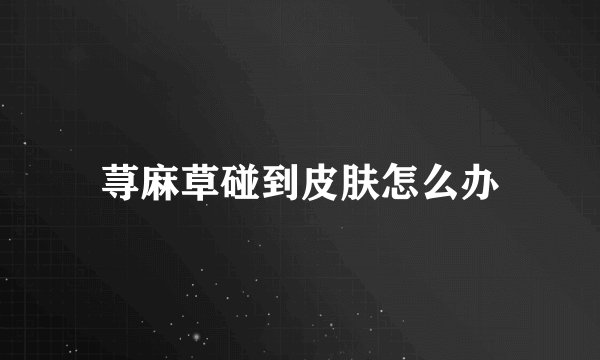 荨麻草碰到皮肤怎么办