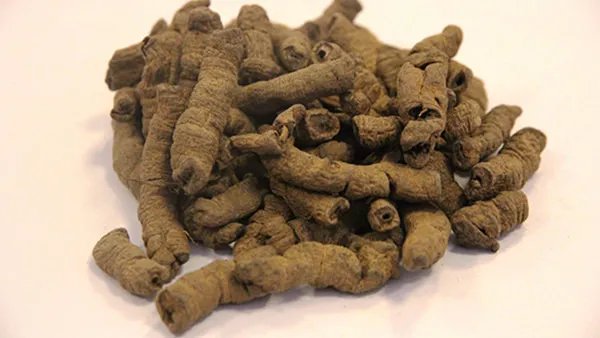 巴戟天的功效