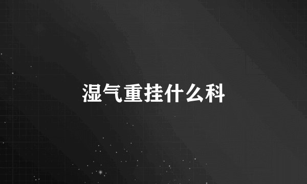 湿气重挂什么科
