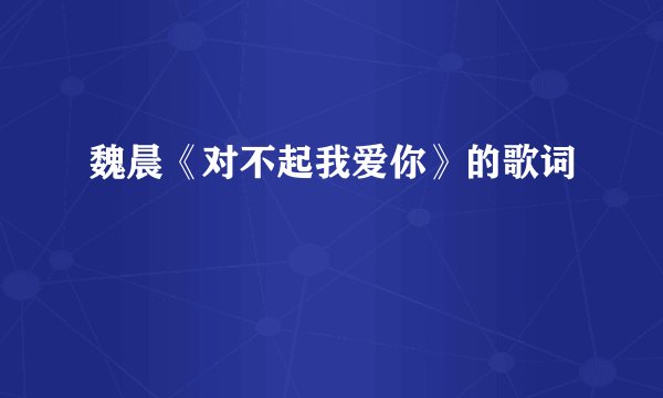 魏晨《对不起我爱你》的歌词