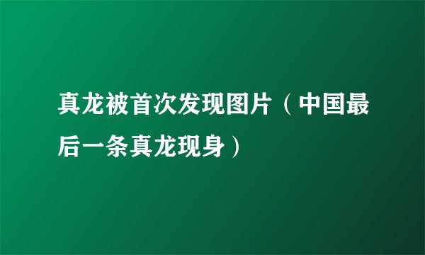 真龙被首次发现图片（中国最后一条真龙现身）