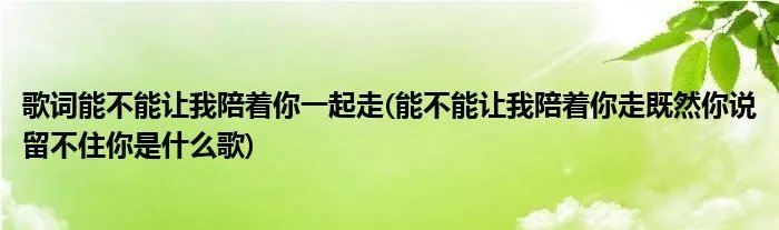 歌词能不能让我陪着你一起走(能不能让我陪着你走既然你说留不住你是什么歌)