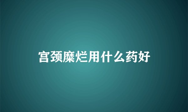 宫颈糜烂用什么药好