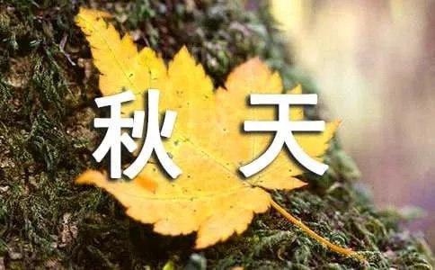 描写秋天的诗句