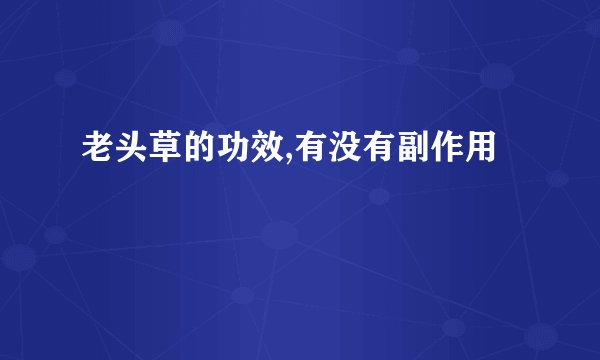 老头草的功效,有没有副作用