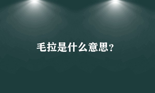 毛拉是什么意思？