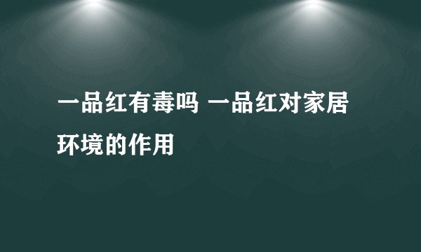一品红有毒吗 一品红对家居环境的作用