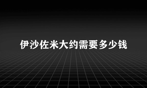 伊沙佐米大约需要多少钱