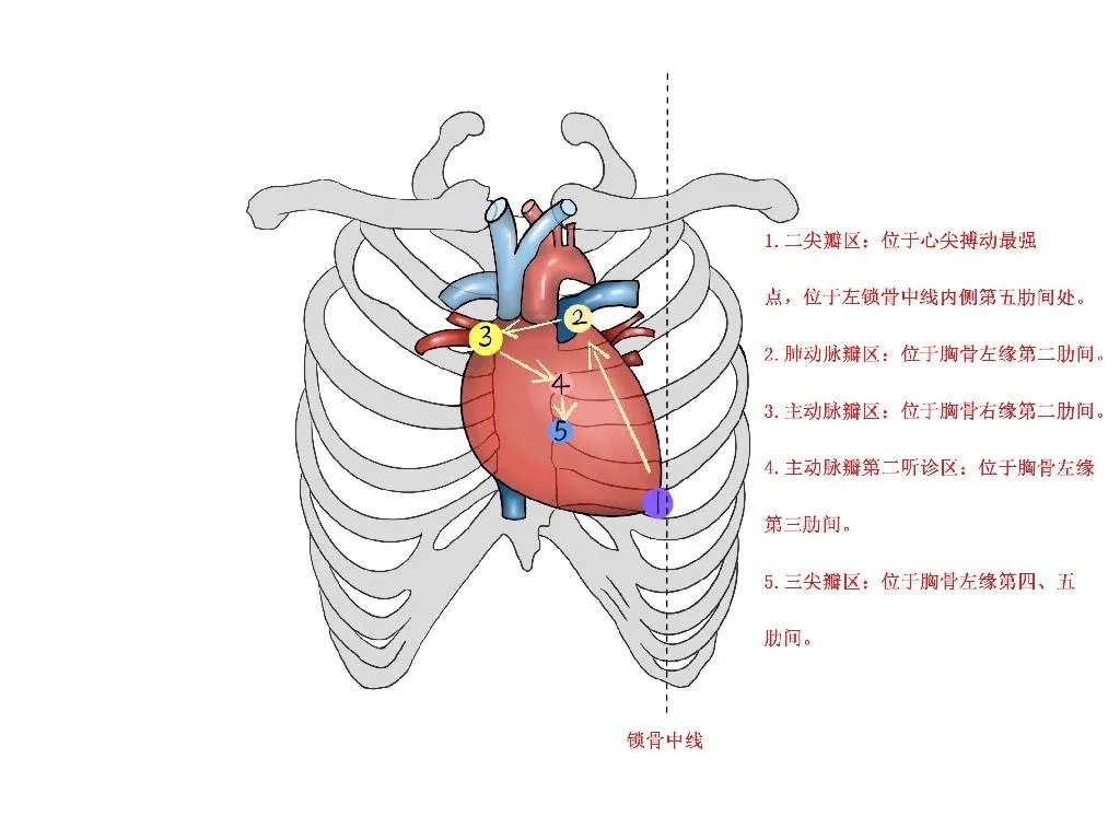 相关推荐