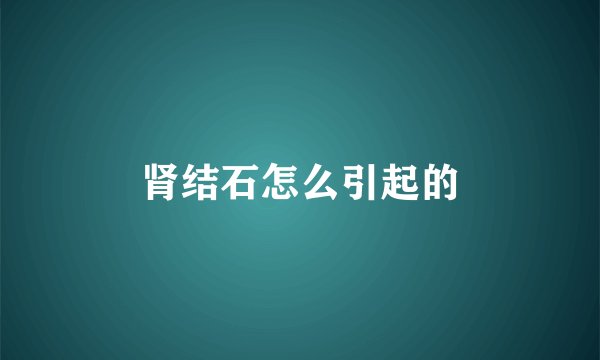 肾结石怎么引起的