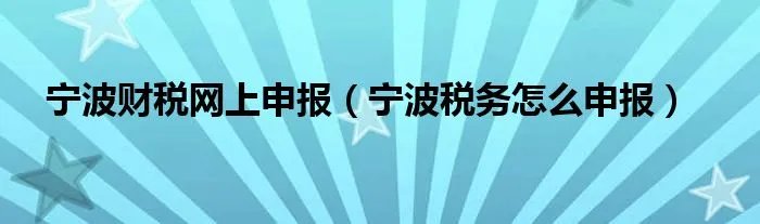 宁波财税网上申报（宁波税务怎么申报）