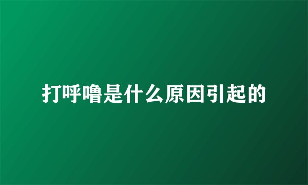 打呼噜是什么原因引起的