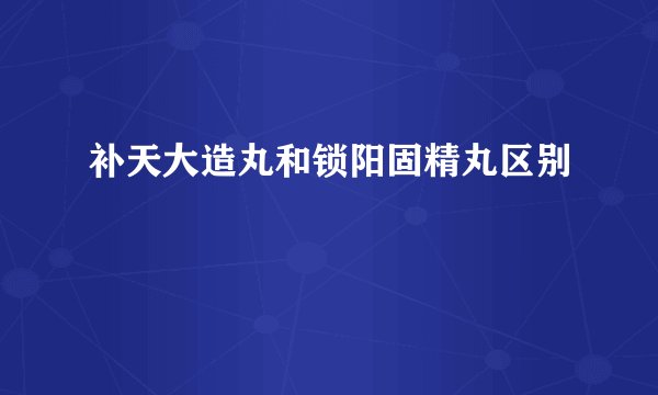 补天大造丸和锁阳固精丸区别