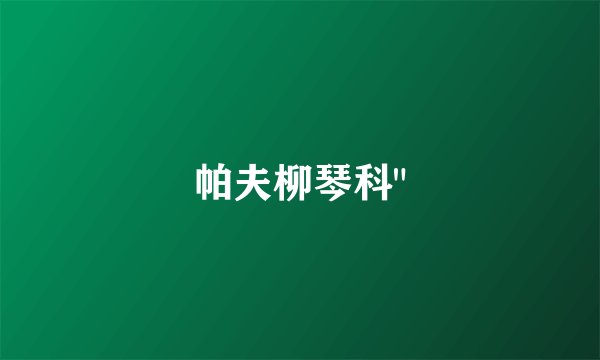 帕夫柳琴科