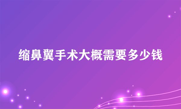 缩鼻翼手术大概需要多少钱