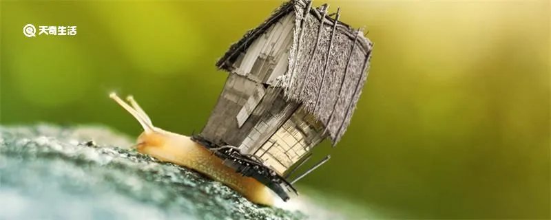 蜗居什么意思